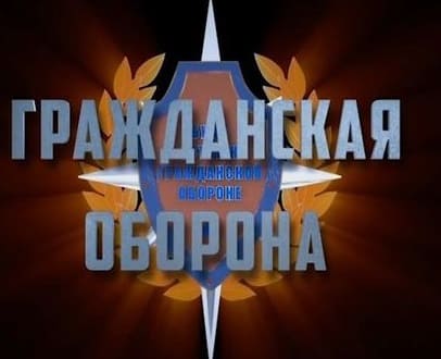 Воронежские спасатели (ТВ Губерния)  (выпуск от 26 января 2022 года)